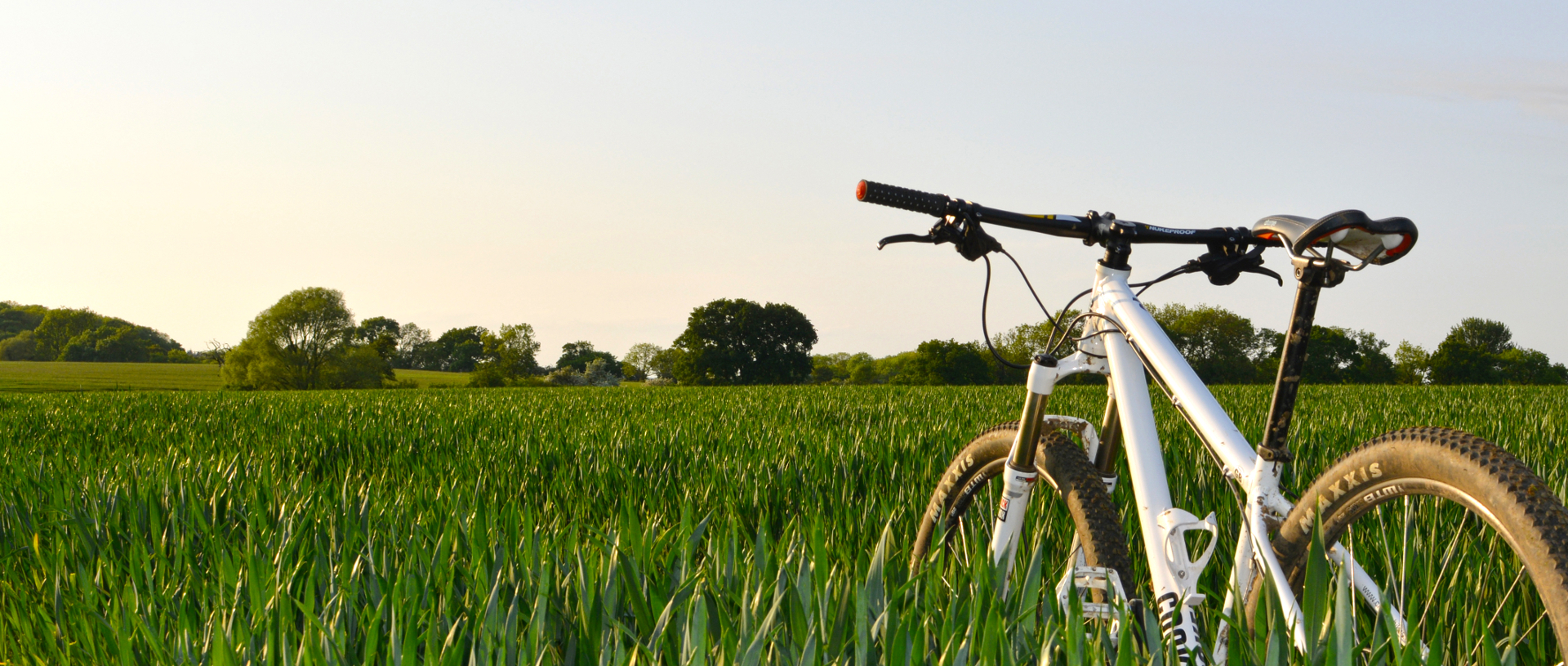 Cycle-Sport Michael Ebner